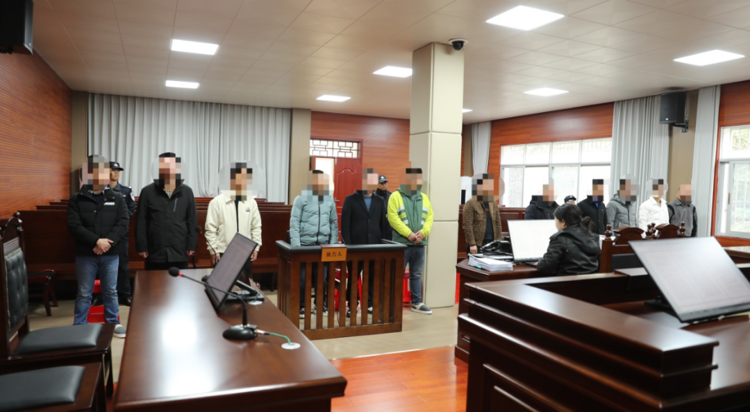 筹集665家公司串通投标高标准农田项目，12人获刑！标值超亿元