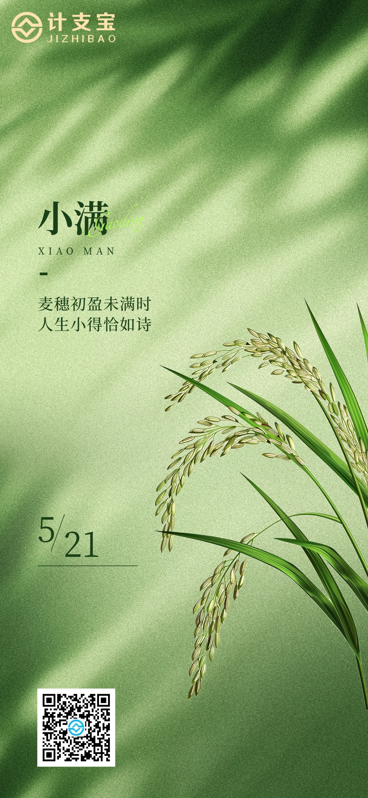 🌾 麦穗初齐，小得盈满。