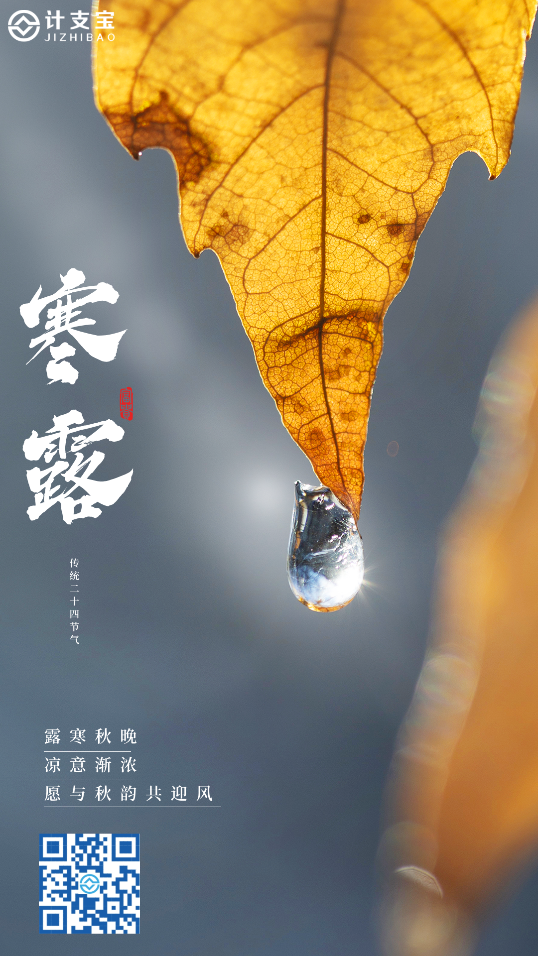寒露至，项目收官时