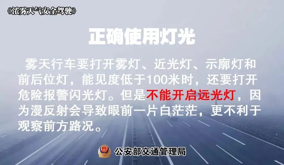 7天！春节假期高速免费通行，这些行车细节千万别忽视！